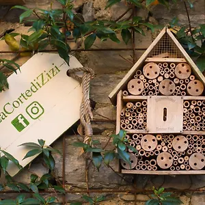 La Corte Di Zizi Holiday home